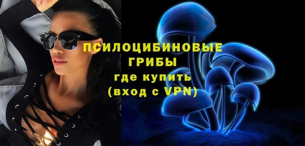 PSILOCYBIN Аркадак
