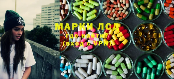 PSILOCYBIN Аркадак