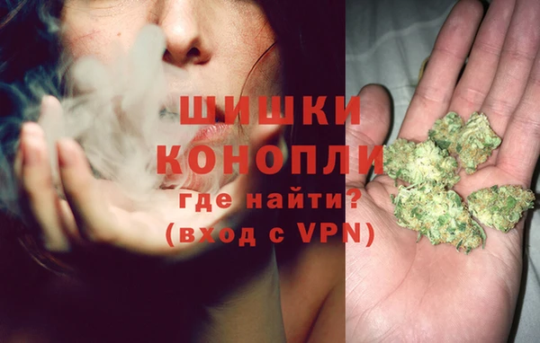 СК Арсеньев